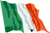 Ierse vlag